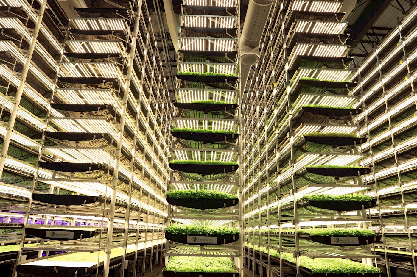 AeroFarms. [Source](https://aerofarms.com/2019/02/20/aerofarms-is-on-a-mission-to-grow-the-best-plants-possible-for-the-betterment-of-humanity/)
