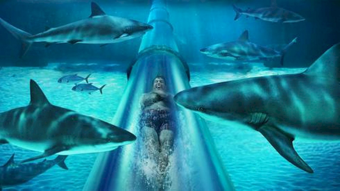 [Source](http://www.ztele.com/articles/10-parcs-aquatiques-spectaculaires-1.1500872)