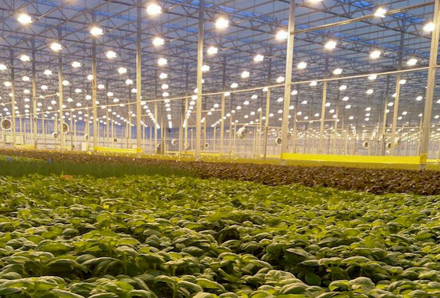 [Source](https://www.forbes.com/sites/maggiemcgrath/2017/06/28/the-25-most-innovative-ag-tech-startups/)