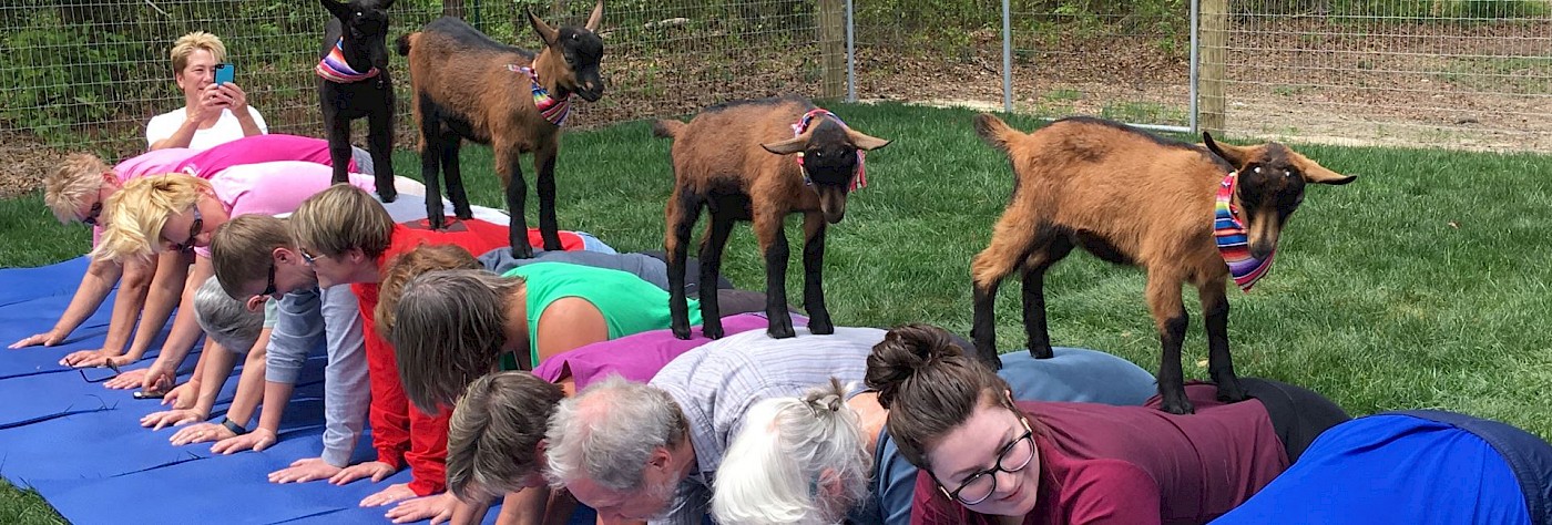 [Source](https://www.goatjoy.com/goat-yoga/)