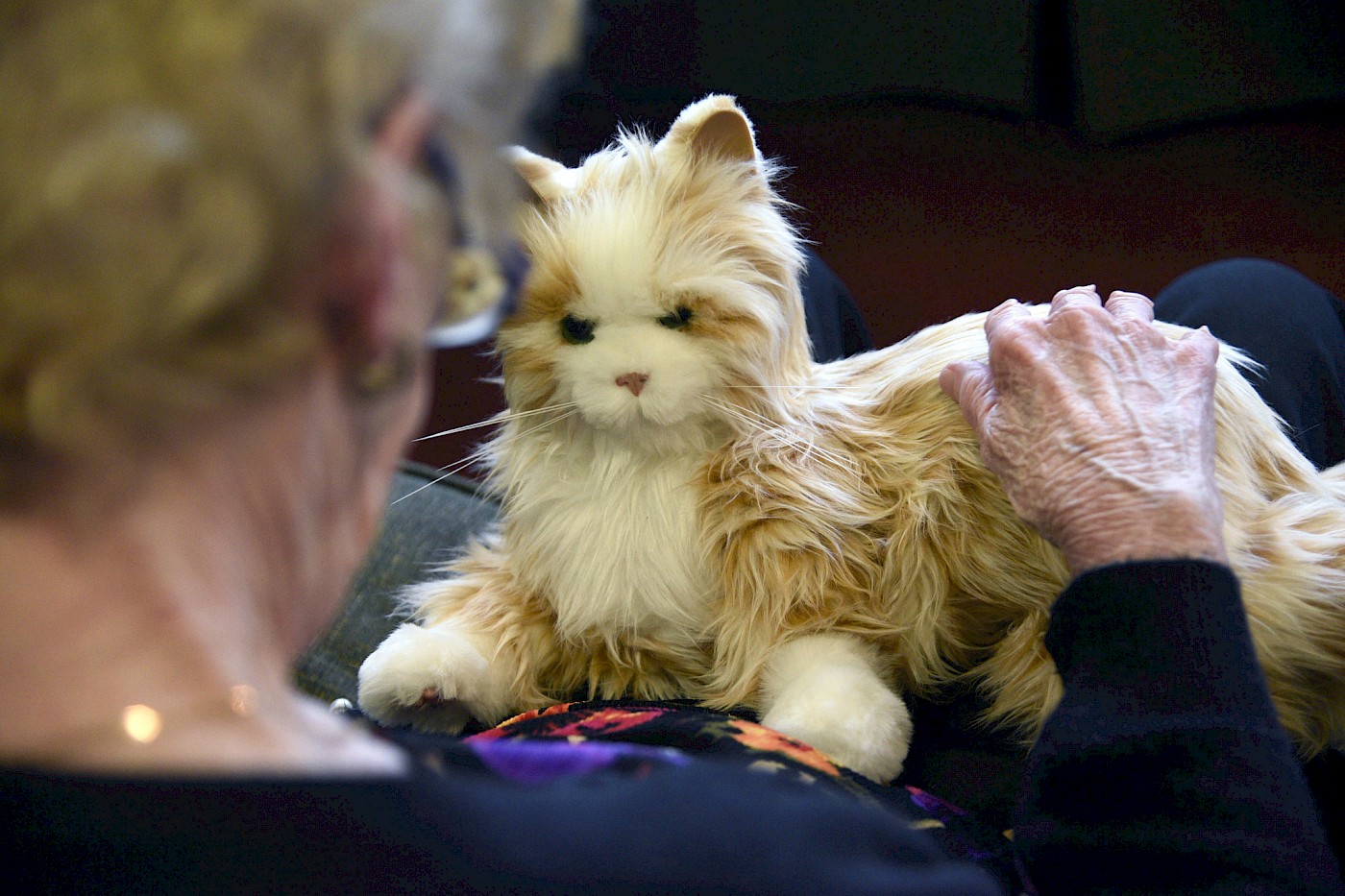 [Source](https://joyforall.com/products/companion-cats)